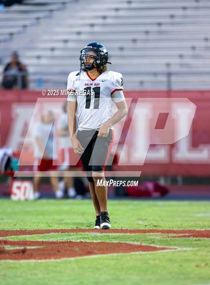 Thumbnail 2 in JV: Palm Bay @ Satellite photogallery.