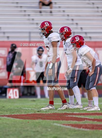 Thumbnail 3 in JV: Palm Bay @ Satellite photogallery.