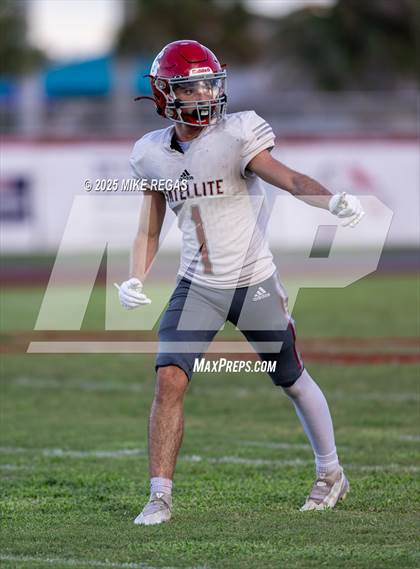 Thumbnail 1 in JV: Palm Bay @ Satellite photogallery.