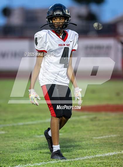 Thumbnail 3 in JV: Palm Bay @ Satellite photogallery.