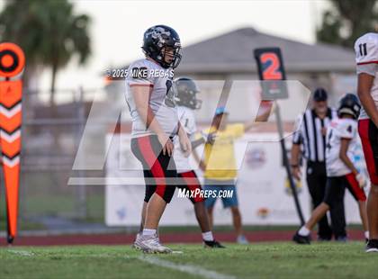 Thumbnail 1 in JV: Palm Bay @ Satellite photogallery.