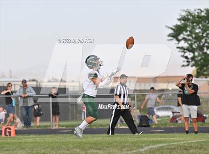 Thumbnail 3 in Eagle @ Kuna photogallery.