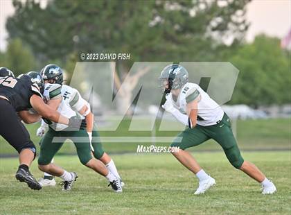 Thumbnail 1 in Eagle @ Kuna photogallery.