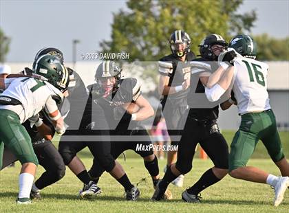 Thumbnail 1 in Eagle @ Kuna photogallery.