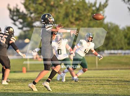 Thumbnail 1 in Eagle @ Kuna photogallery.
