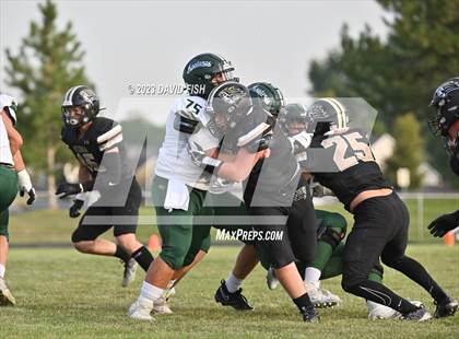 Thumbnail 3 in Eagle @ Kuna photogallery.