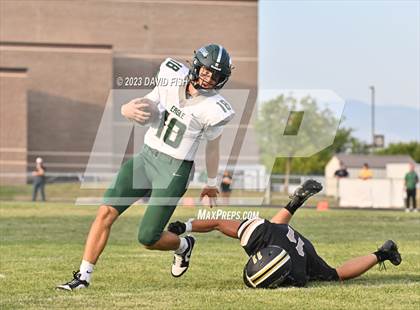 Thumbnail 3 in Eagle @ Kuna photogallery.
