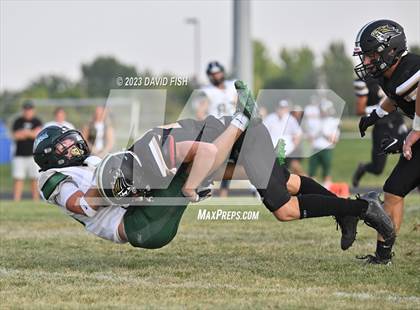 Thumbnail 1 in Eagle @ Kuna photogallery.