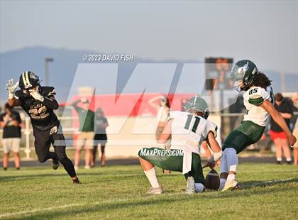 Thumbnail 1 in Eagle @ Kuna photogallery.