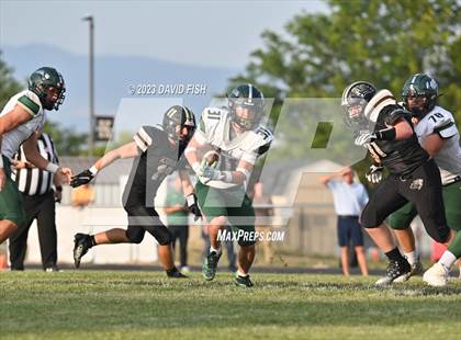 Thumbnail 3 in Eagle @ Kuna photogallery.