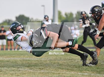 Thumbnail 3 in Eagle @ Kuna photogallery.