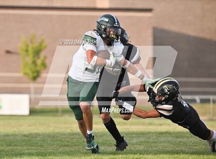 Thumbnail 3 in Eagle @ Kuna photogallery.