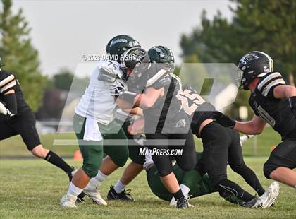 Thumbnail 1 in Eagle @ Kuna photogallery.