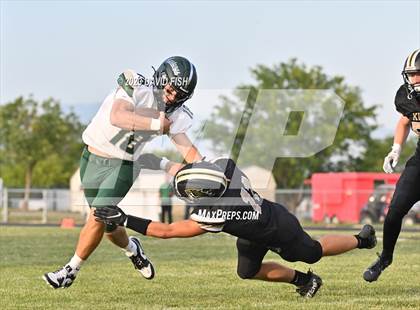 Thumbnail 2 in Eagle @ Kuna photogallery.