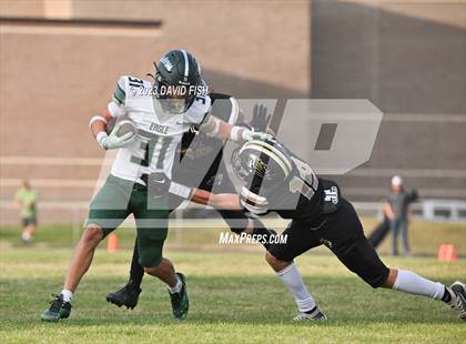 Thumbnail 2 in Eagle @ Kuna photogallery.