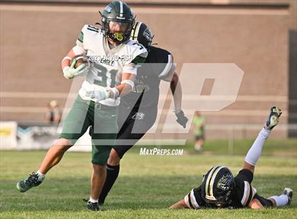 Thumbnail 1 in Eagle @ Kuna photogallery.