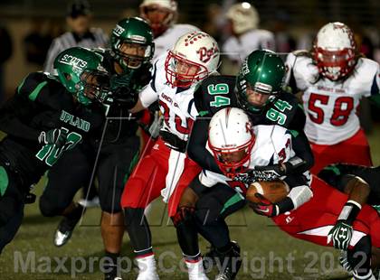 Thumbnail 3 in Great Oak @ Upland photogallery.