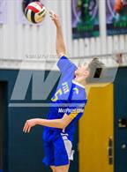Photo from the gallery "STEM School Highlands Ranch @ Windsor Charter Academy"
