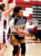 Photo from the gallery "Pine Bush @ Kingston"