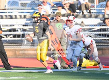 Thumbnail 2 in Cedar Grove @ Westwood photogallery.