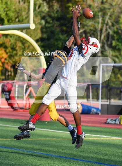 Thumbnail 3 in Cedar Grove @ Westwood photogallery.