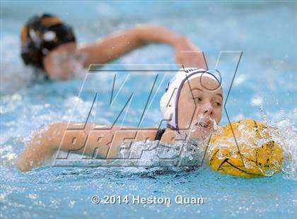 Thumbnail 2 in Villa Park @ El Dorado photogallery.