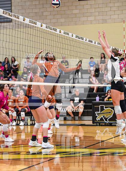 Thumbnail 1 in Giddings vs Caldwell photogallery.
