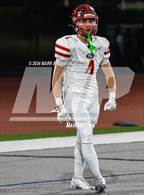 Photo from the gallery "Segerstrom @ El Modena"