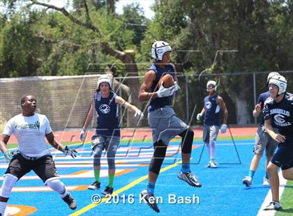 Thumbnail 3 in 7-on-7 Tournament photogallery.