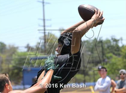 Thumbnail 1 in 7-on-7 Tournament photogallery.