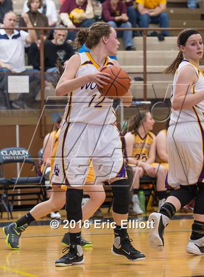 Thumbnail 3 in Elk County Catholic vs North Clarion (PIAA District IX A Semifinal) photogallery.