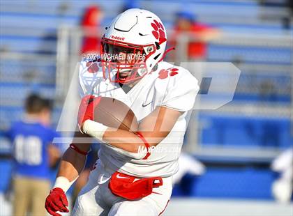 Thumbnail 3 in Beechwood @ Simon Kenton photogallery.
