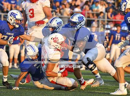 Thumbnail 1 in Beechwood @ Simon Kenton photogallery.