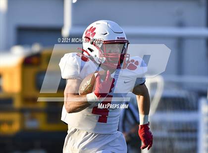 Thumbnail 2 in Beechwood @ Simon Kenton photogallery.
