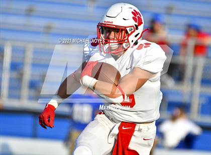 Thumbnail 1 in Beechwood @ Simon Kenton photogallery.