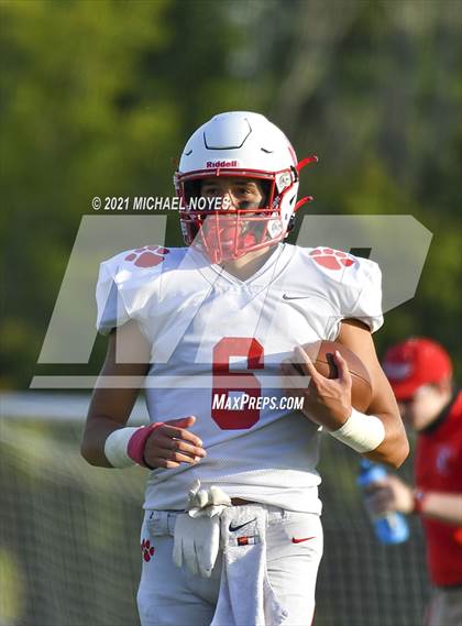 Thumbnail 3 in Beechwood @ Simon Kenton photogallery.
