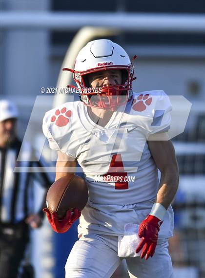 Thumbnail 1 in Beechwood @ Simon Kenton photogallery.