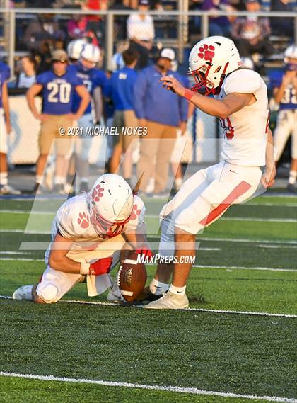 Thumbnail 1 in Beechwood @ Simon Kenton photogallery.