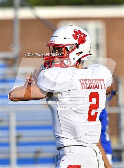 Thumbnail 1 in Beechwood @ Simon Kenton photogallery.