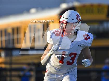Thumbnail 1 in Beechwood @ Simon Kenton photogallery.