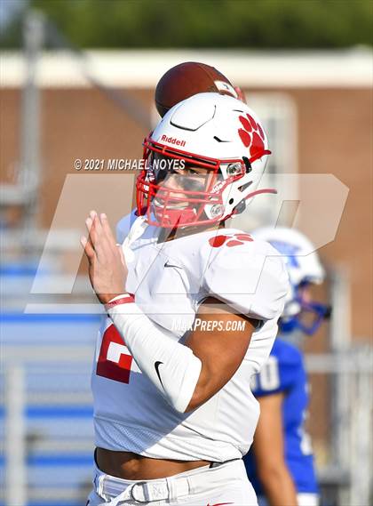 Thumbnail 3 in Beechwood @ Simon Kenton photogallery.