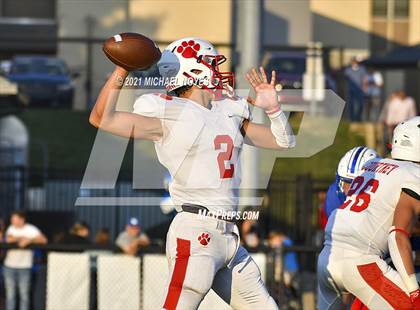 Thumbnail 1 in Beechwood @ Simon Kenton photogallery.