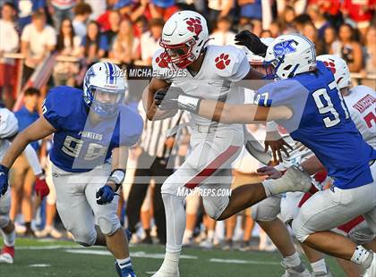 Thumbnail 1 in Beechwood @ Simon Kenton photogallery.