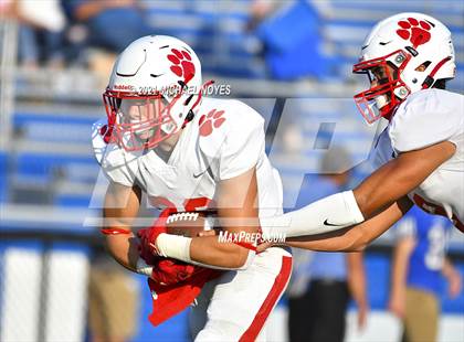 Thumbnail 3 in Beechwood @ Simon Kenton photogallery.