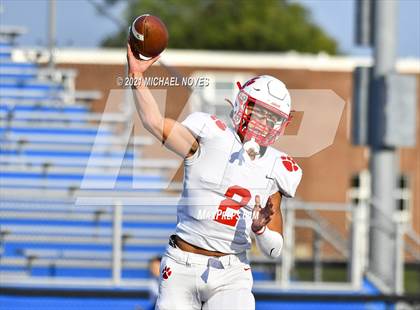 Thumbnail 1 in Beechwood @ Simon Kenton photogallery.
