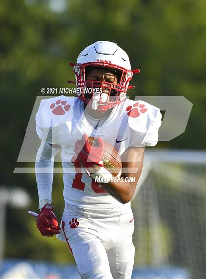 Thumbnail 1 in Beechwood @ Simon Kenton photogallery.