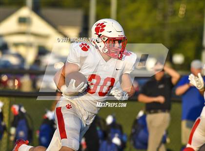 Thumbnail 1 in Beechwood @ Simon Kenton photogallery.