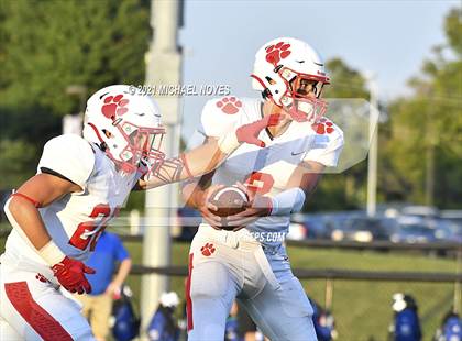 Thumbnail 2 in Beechwood @ Simon Kenton photogallery.