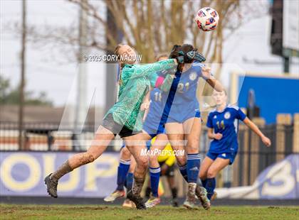Thumbnail 1 in South Terrebonne @ Vandebilt Catholic photogallery.