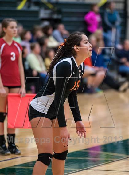 Thumbnail 2 in Newton North vs Lincoln-Sudbury (Showcase of Champions Holyoke Gold Semi-Final 2) photogallery.